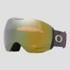 Oakley Flight Deck L Grey Smoke Goggle