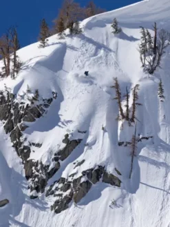 Mountain Twin Splitboard -Optimal Ski Shop MountainTwinSplitboard 7