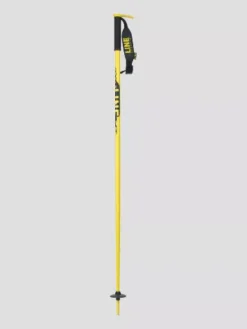 LINE Pin 2024 Ski Poles